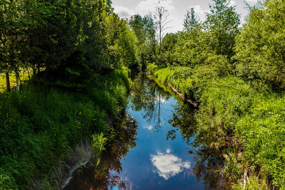 Photograph by Игорь Сидун