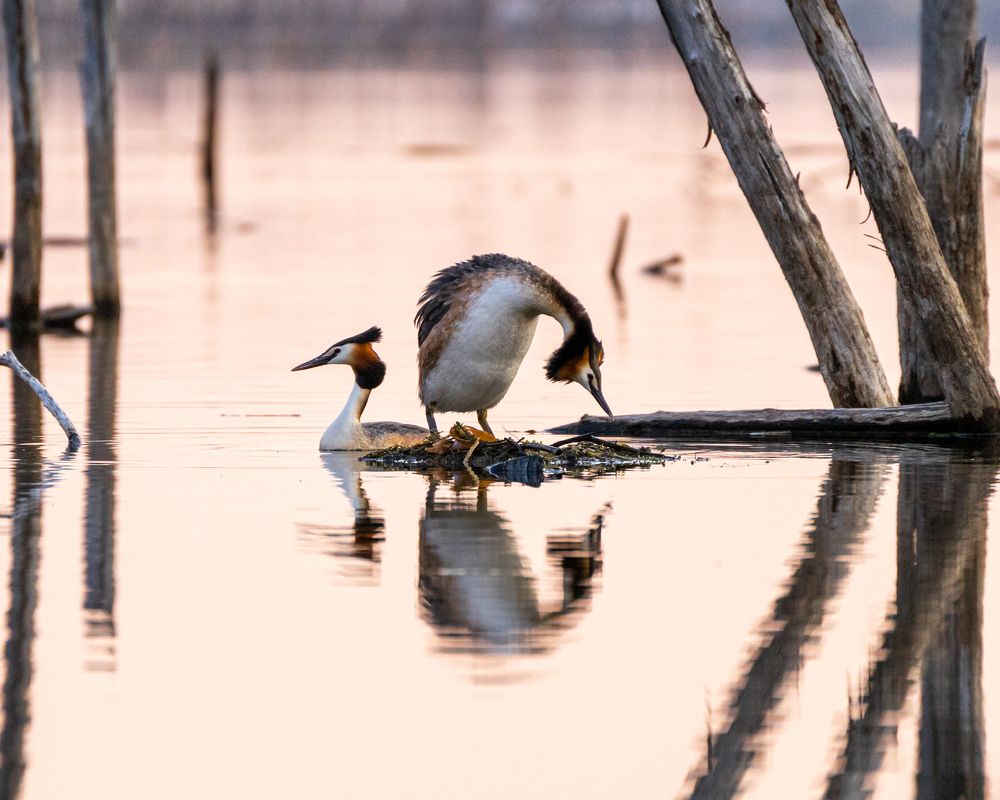 Photograph by Екатерина Дубровская
