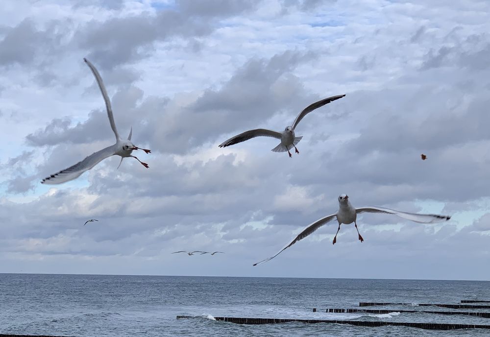 Photograph by Inna Shevchenko