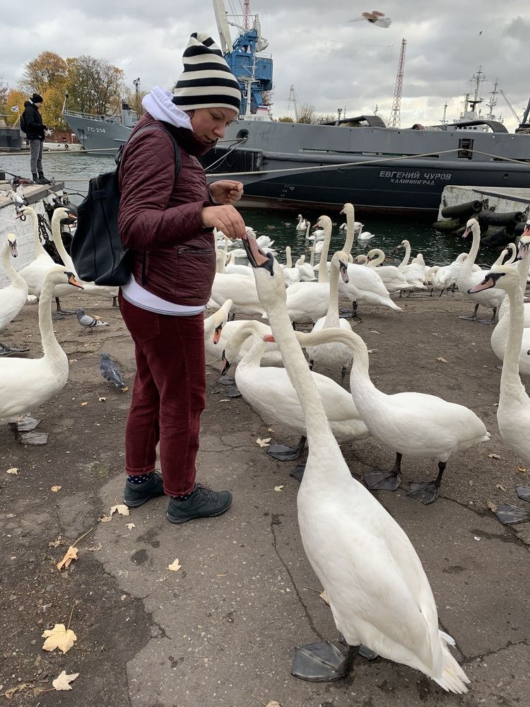 Photograph by Inna Shevchenko