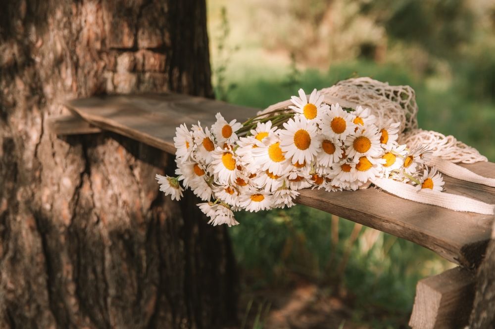 Photograph by Альбина Баташова