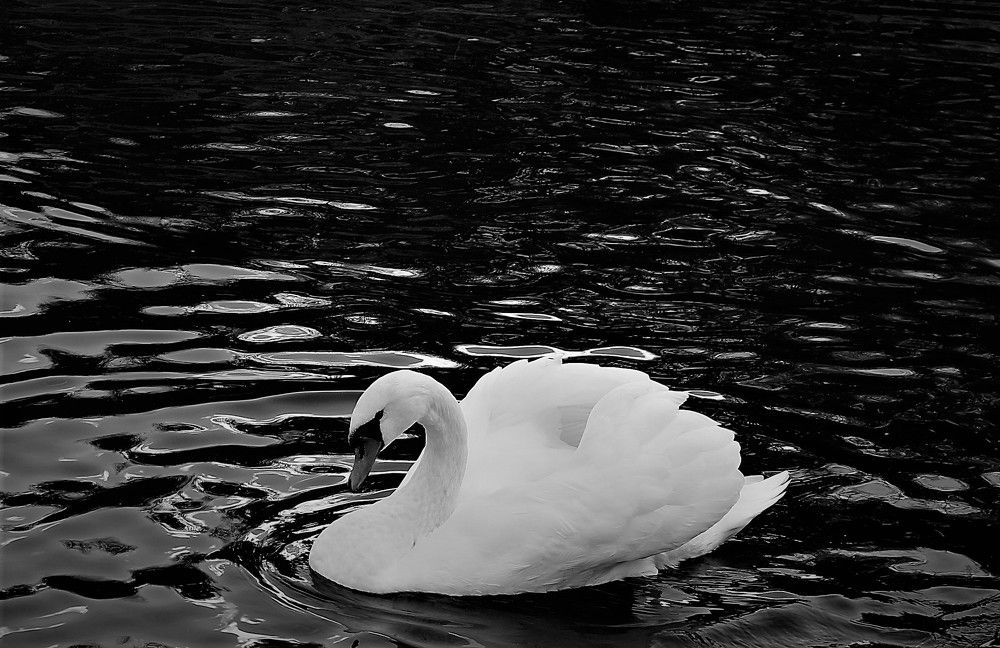 Photograph by Марина Игнатьева