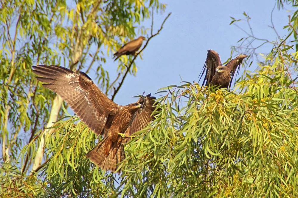 Photograph by Павел Колеснев