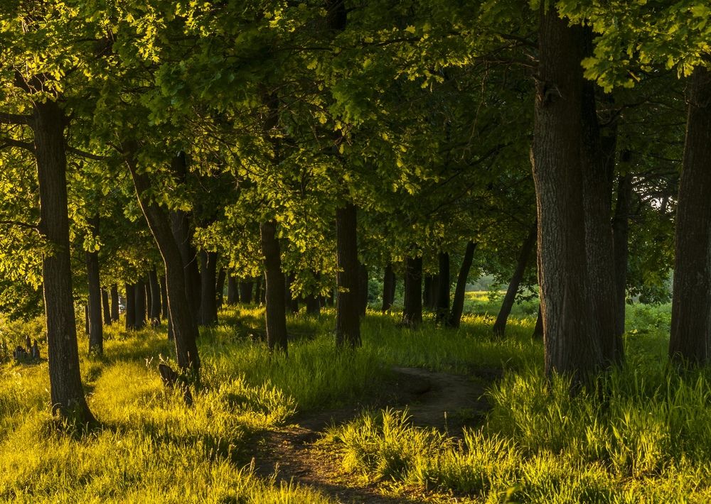 Photograph by Андрей Папанов