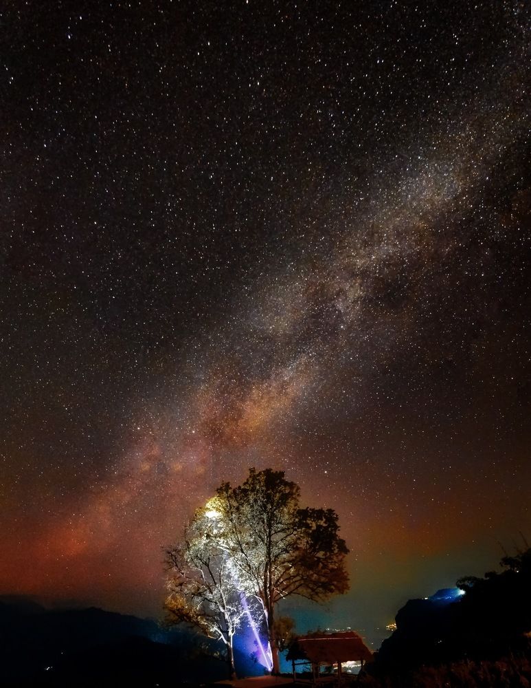 Photograph by Kevin Nguyen