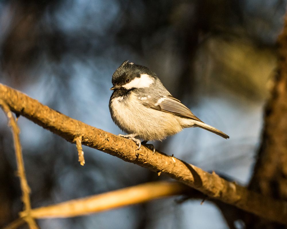 Photograph by Екатерина Дубровская