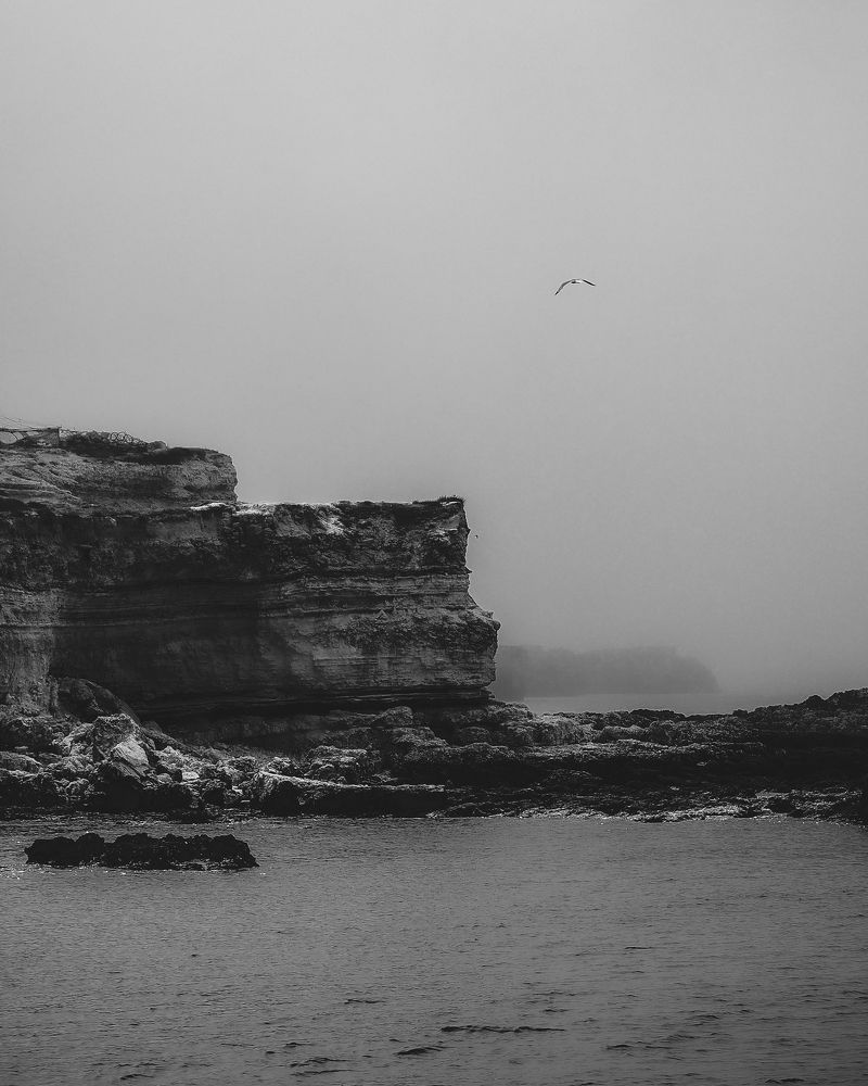 Photograph by Маргарита Смоленская