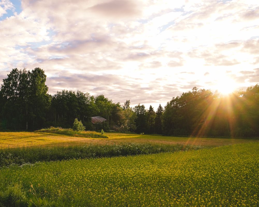 Photograph by Anna Sindikayeva