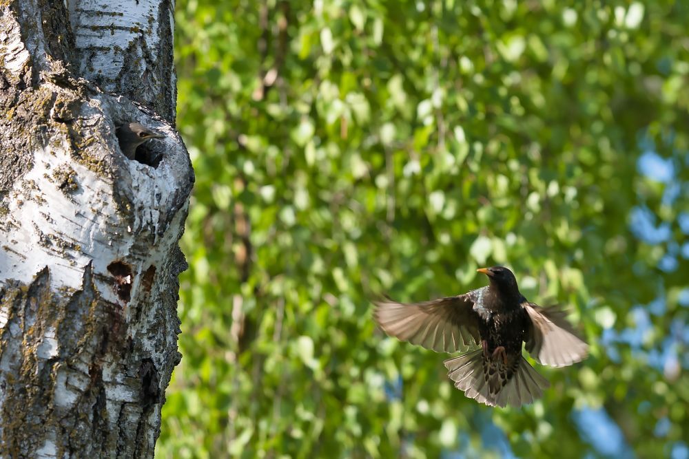 Photograph by Евгений Рощин