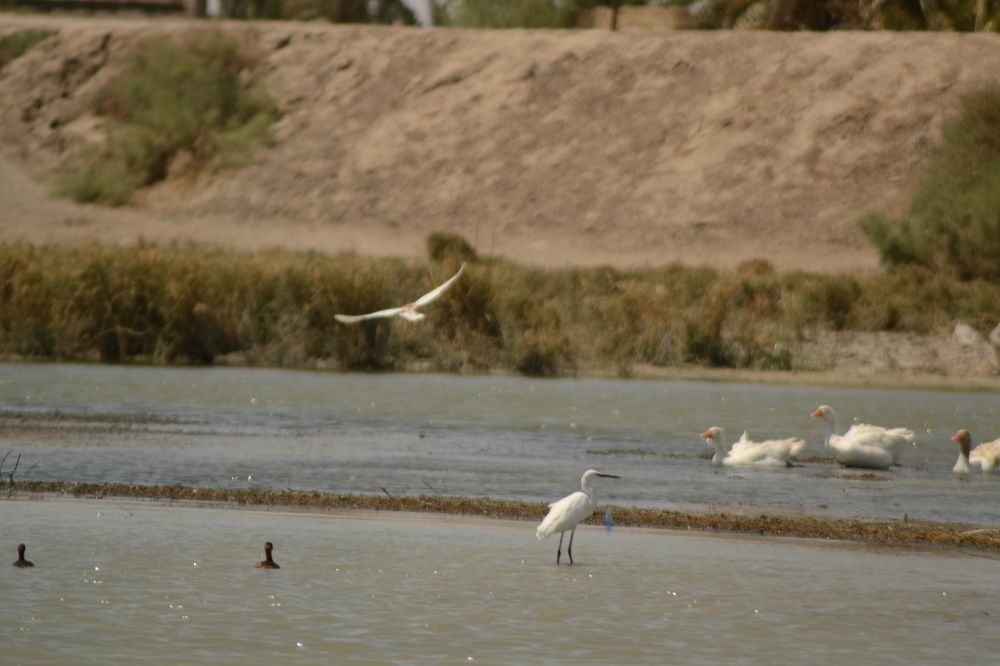 Photograph by Montadher AL-waeil