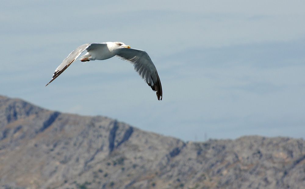 Photograph by Андрей Лукин