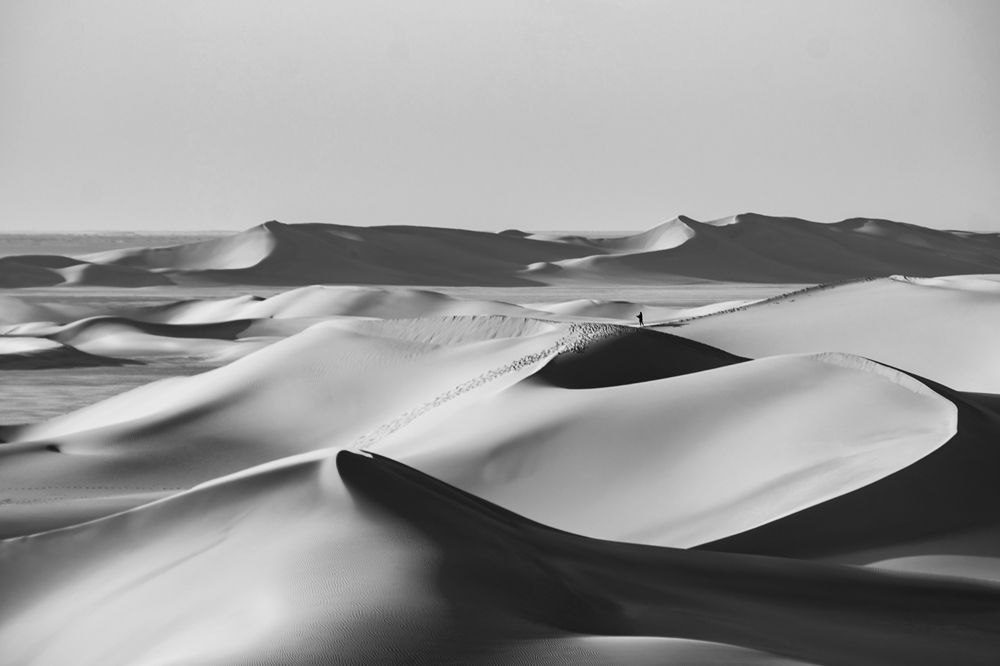 Фотография автора Mahshad Razavi