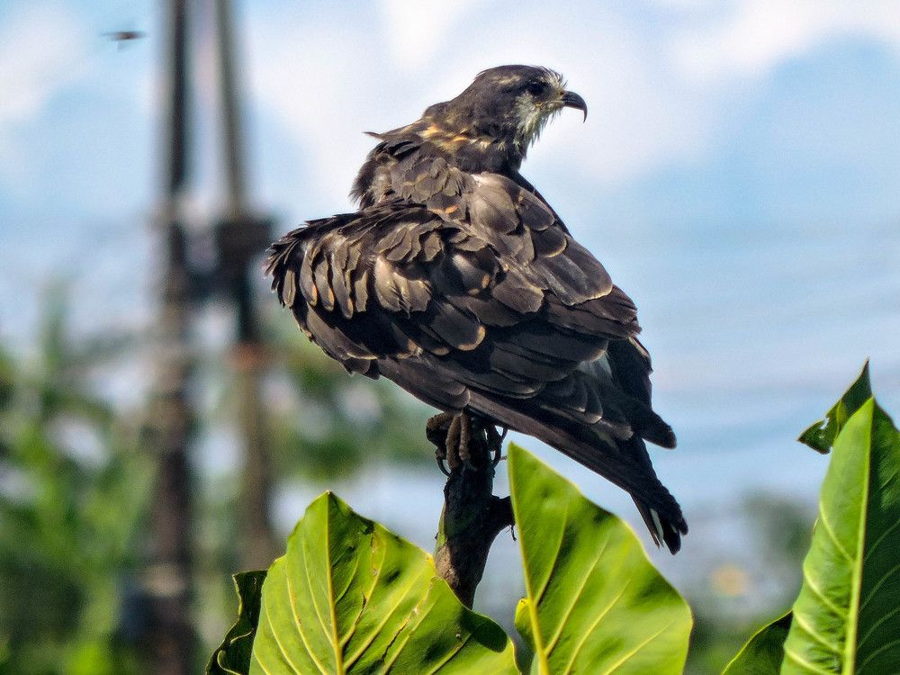 Photograph by Patrícia Helena