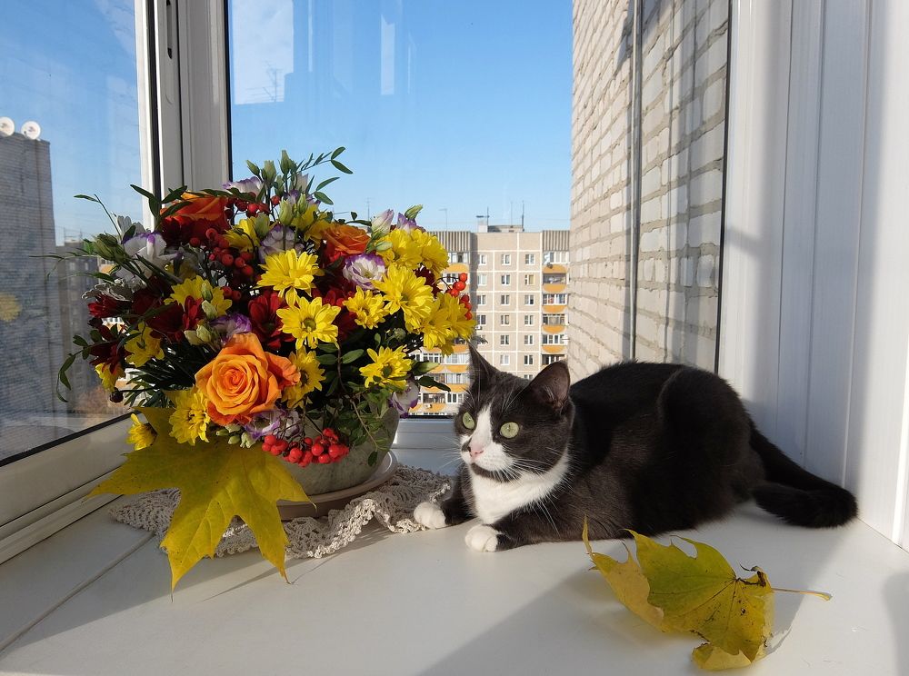 Photograph by Любовь Реутова