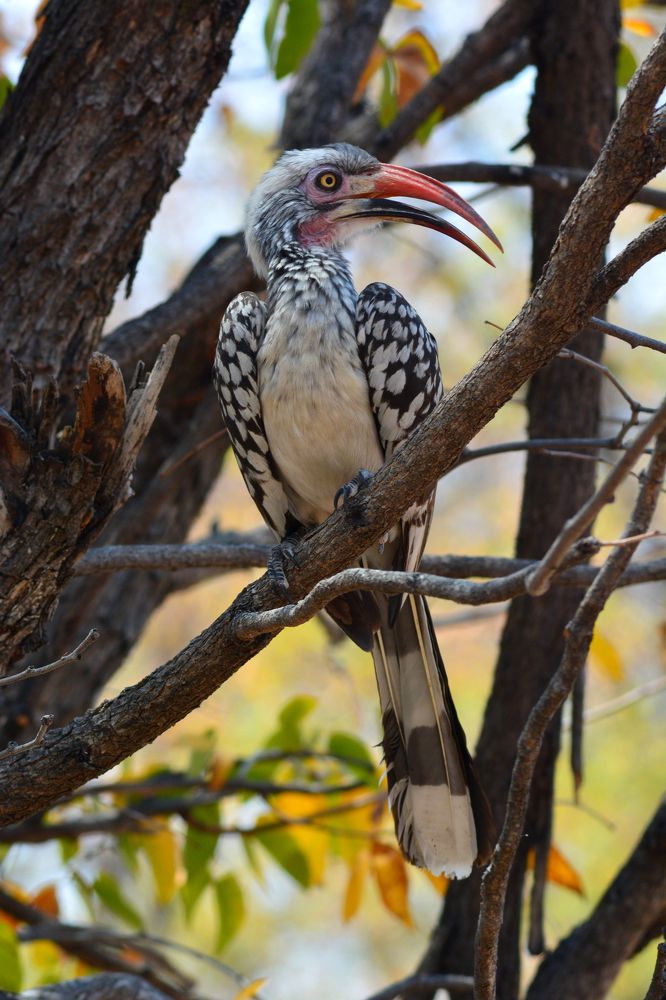 Photograph by Анатолий Орлов