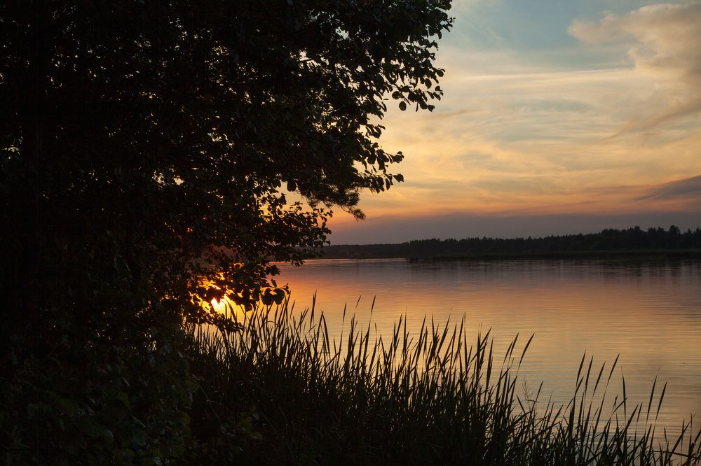 Photograph by Максим Бритько