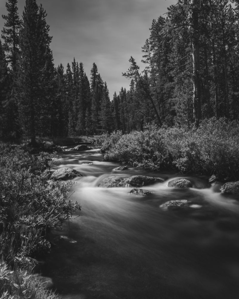 Photograph by Tony Douzenis