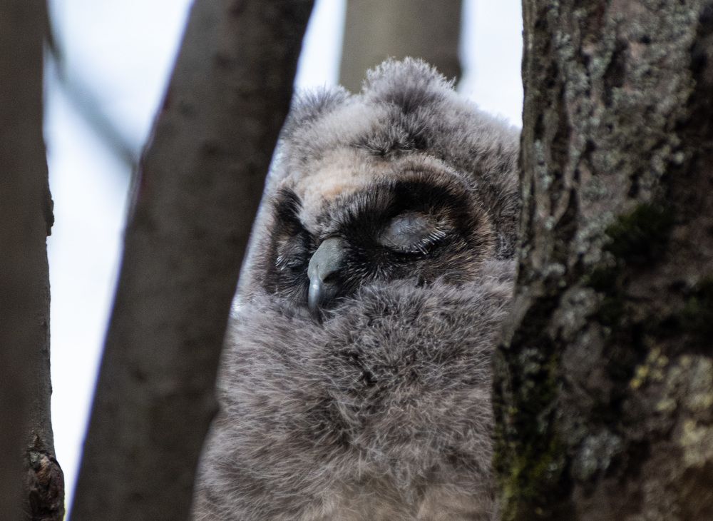 Фотография автора Рохмистрова Мария