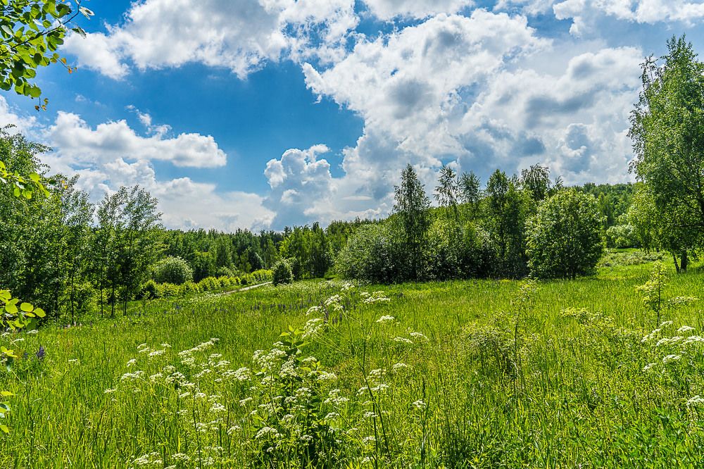 Photograph by Владимир Езеров