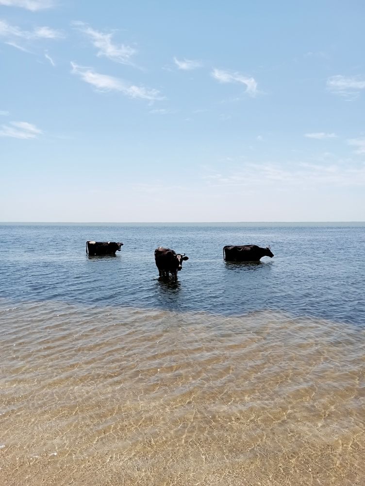 Зной