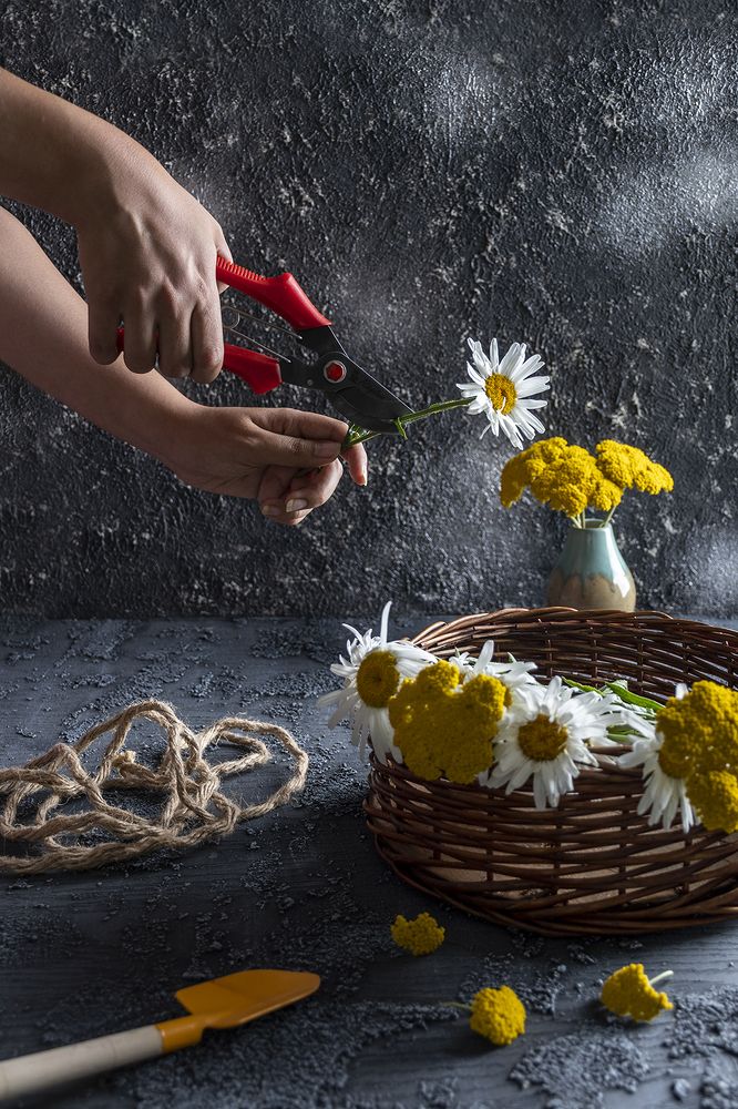 Фотография автора Mahshad Razavi