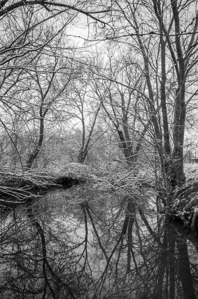 Photograph by Галина Григорьева