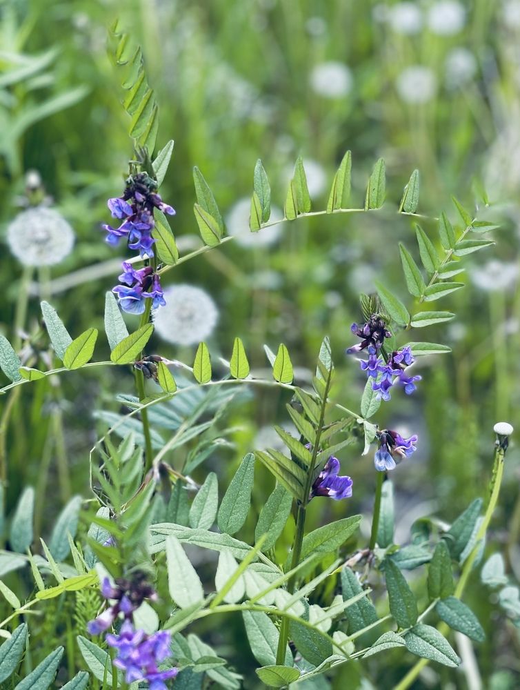 Photograph by Валентина