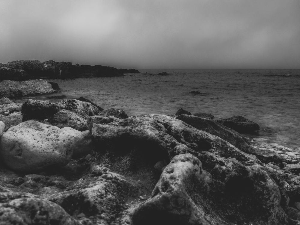 Photograph by Маргарита Смоленская