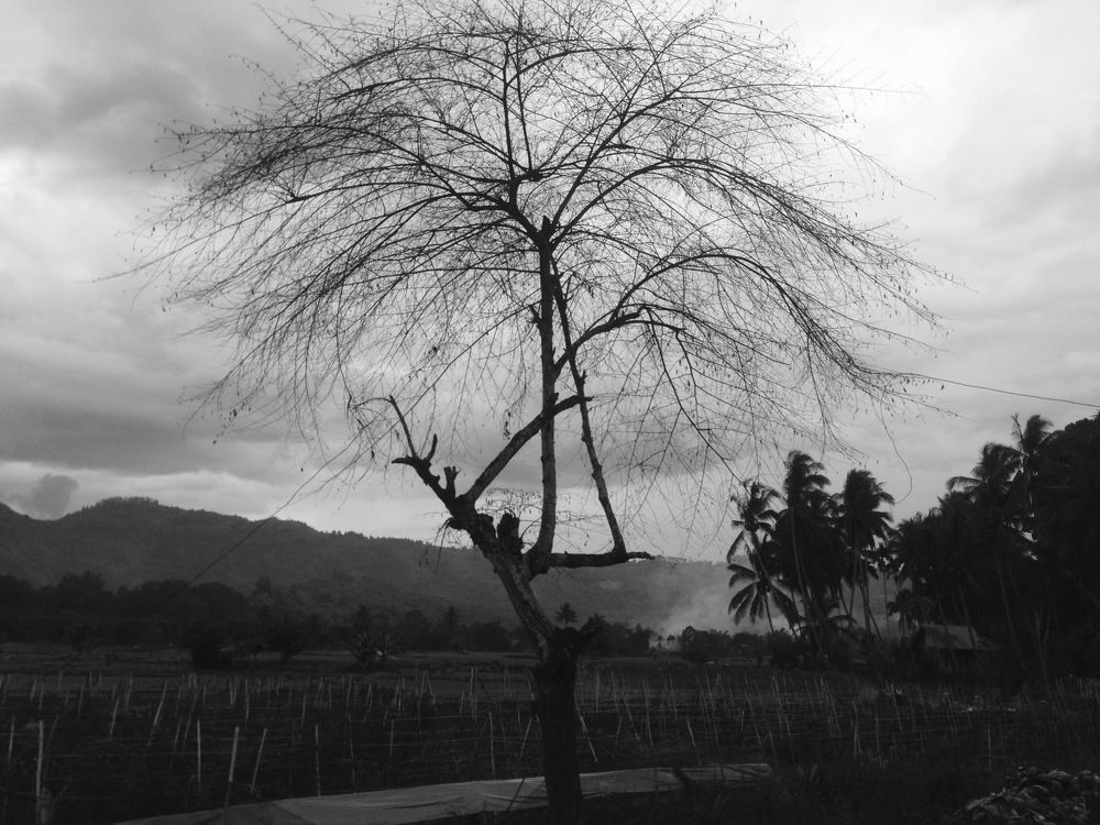 Photograph by Adalu Badrusa Adal