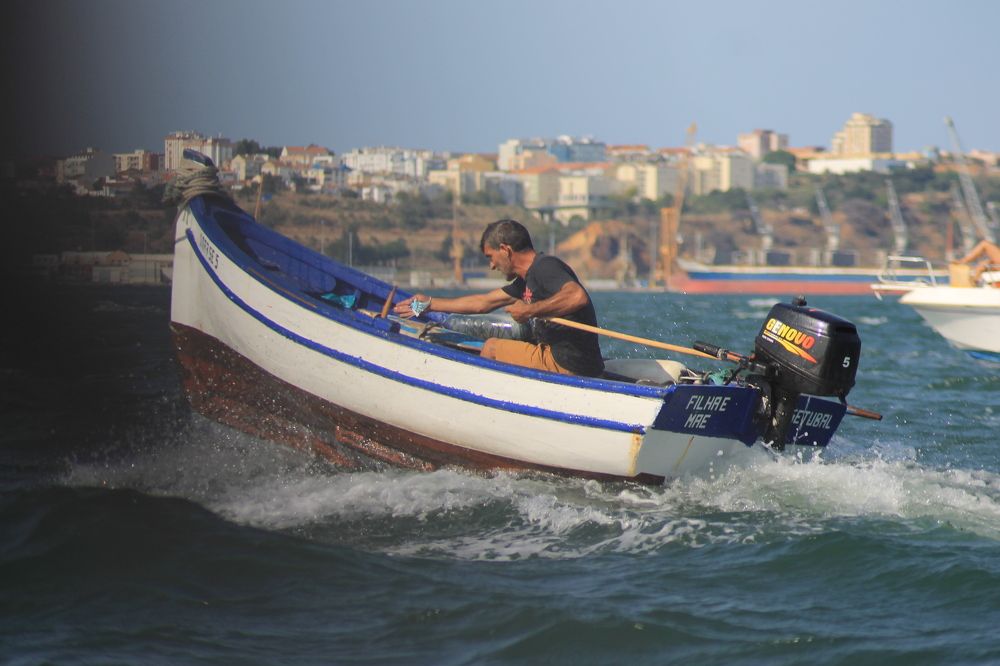 Photograph by Ferreira Francisco