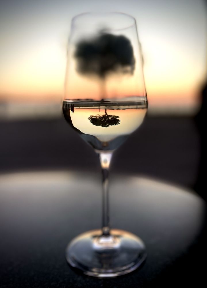 Photograph by Irina Studenyak