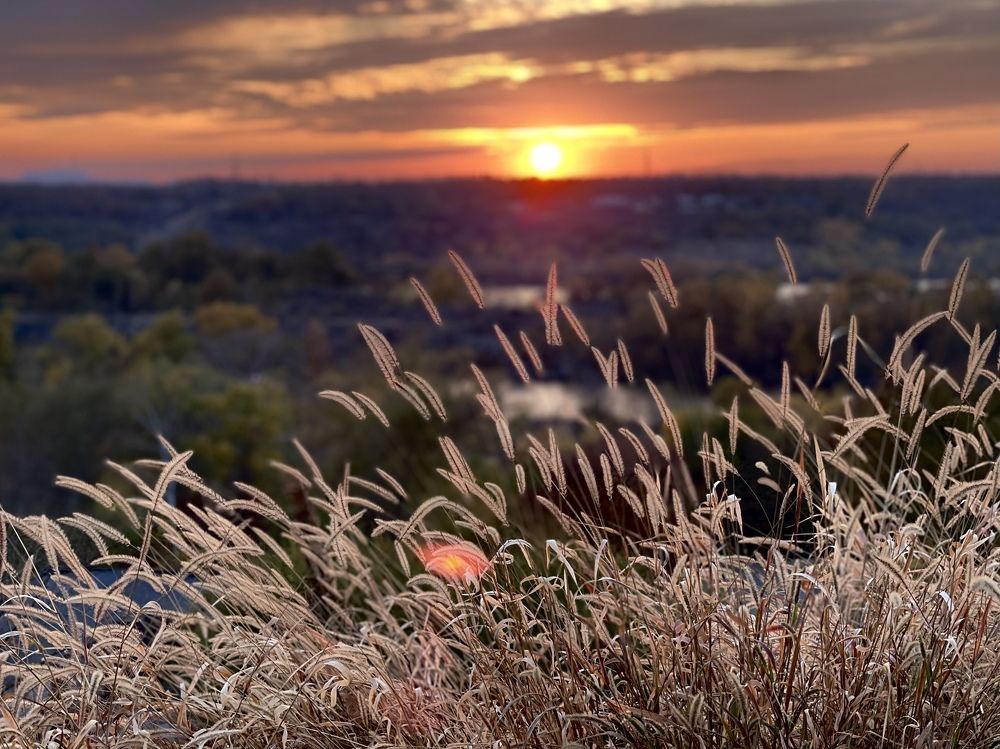 Photograph by Irina Studenyak