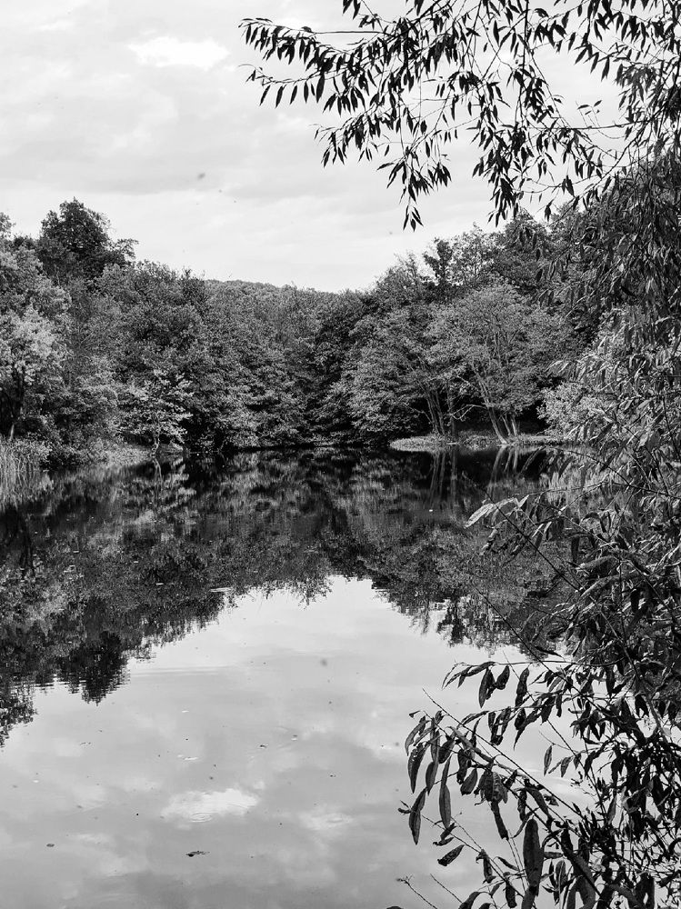 Photograph by Эльвира Куликова