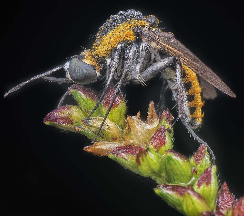 Photograph by SWEE MING YOUNG