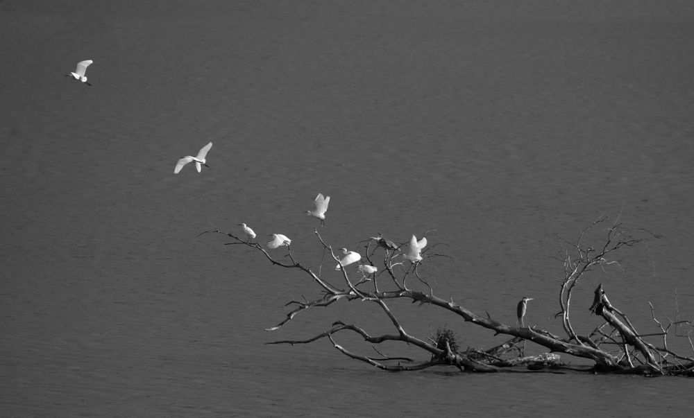 Photograph by Николай Абрамов