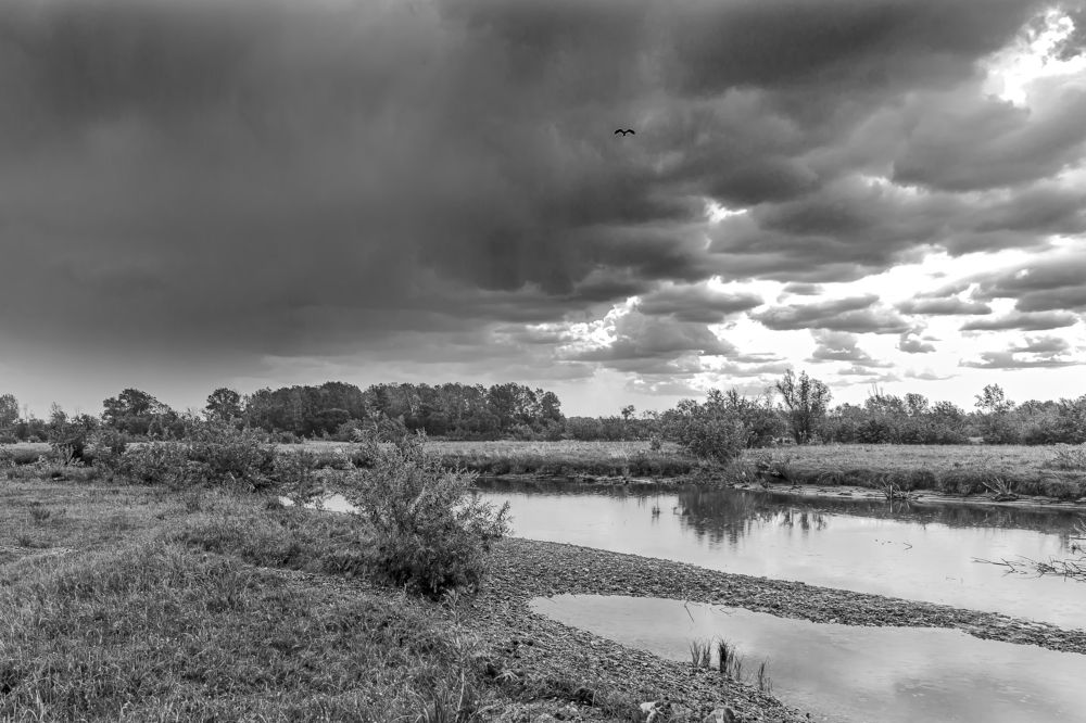 Photograph by Евгений Вяткин