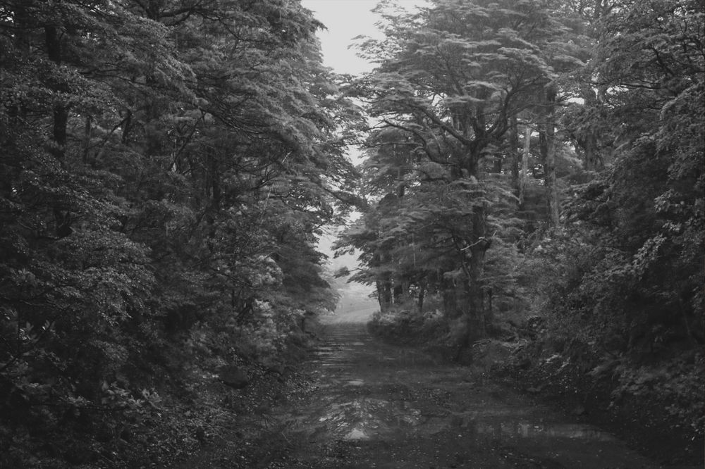 Photograph by Gonzalo Jorge Eduardo MARÓN