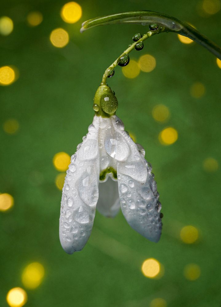 Photograph by Андрей Романов