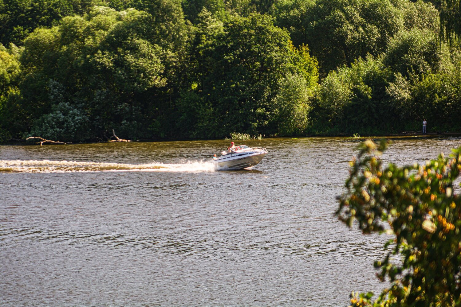 Photo #7781844