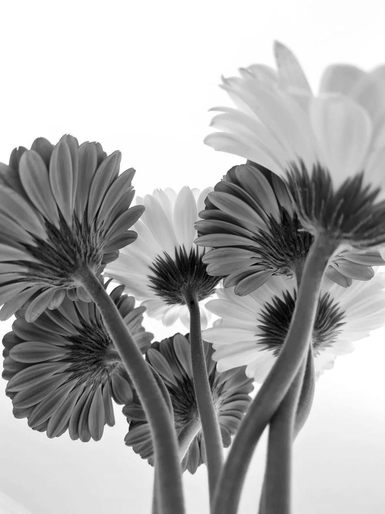 Photograph by Tatiana Denisova