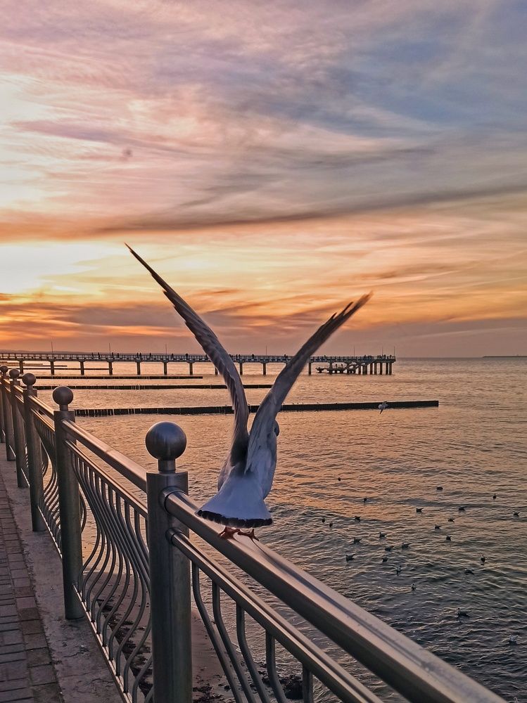 Photograph by Жигульский Сергей