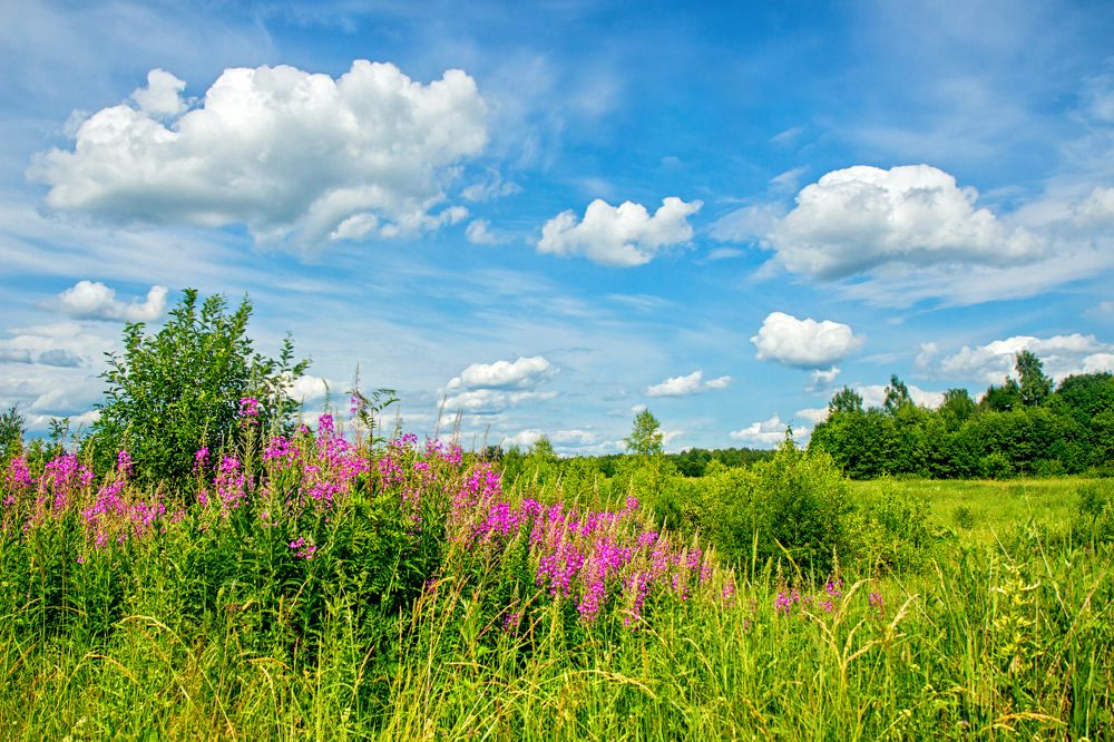 Photograph by Татьяна Семенова