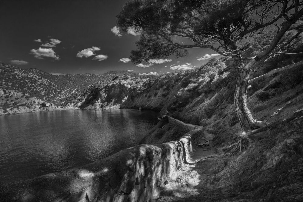 Photograph by Екатерина Чичкова