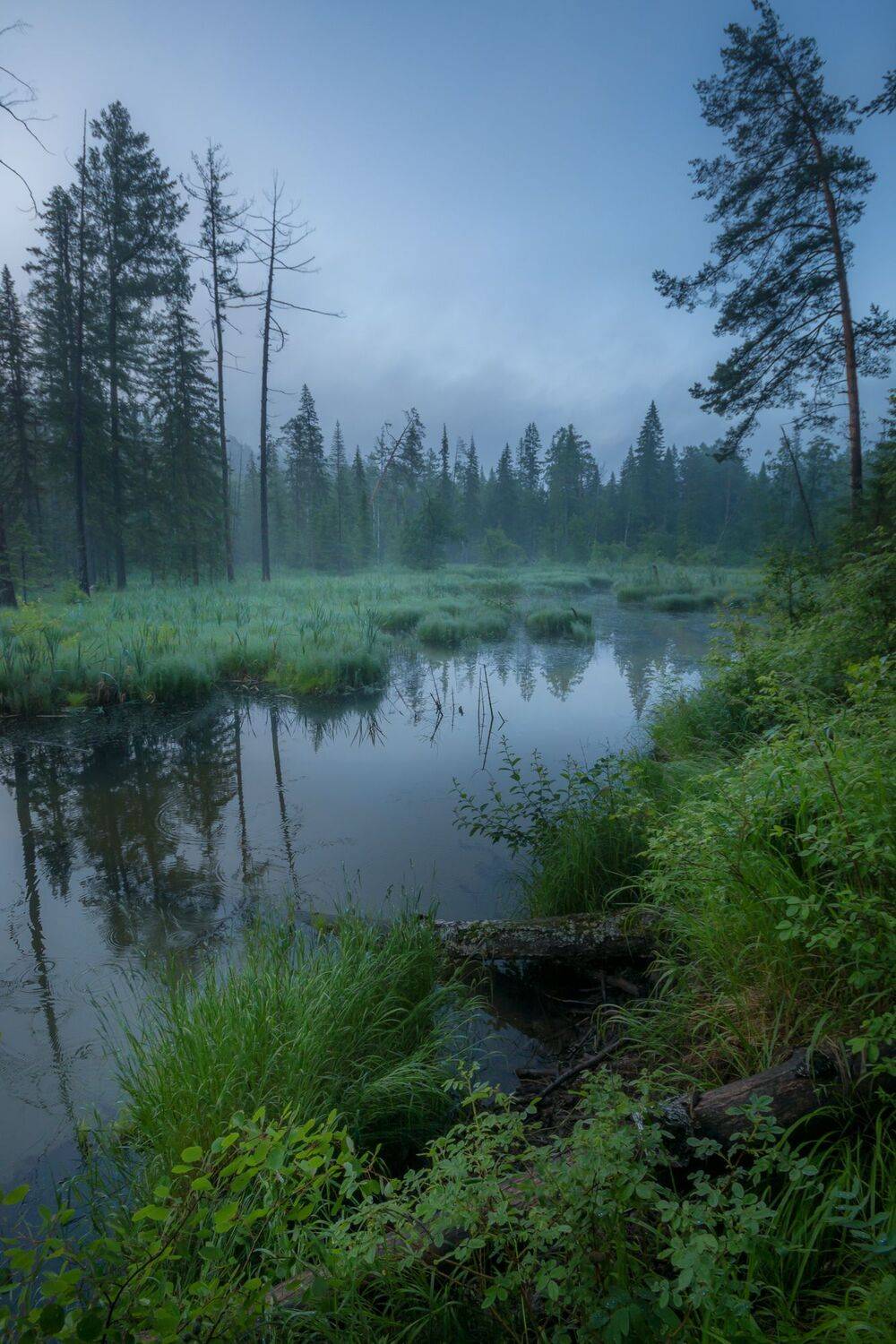 Фотография #7782290