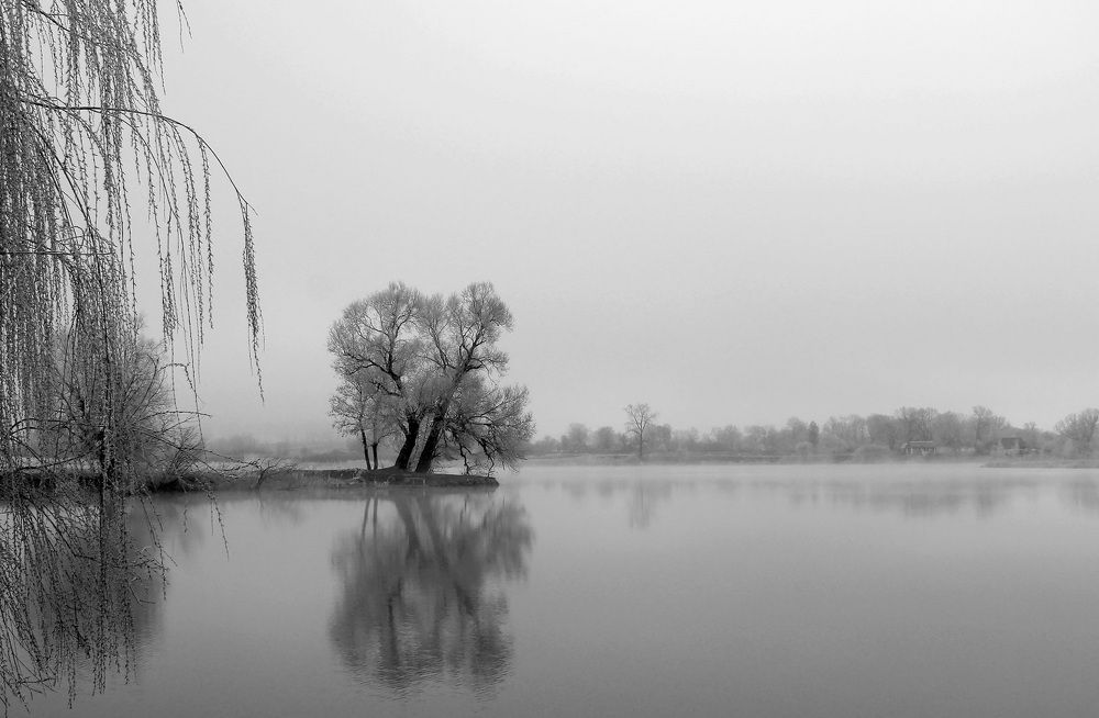 Photograph by Дмитрий Сырбу