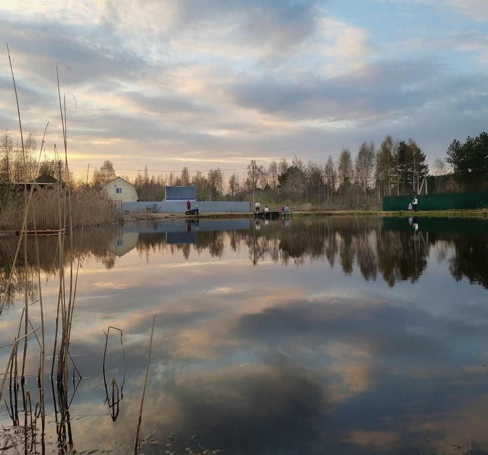 Из дачной жизни. Вечер