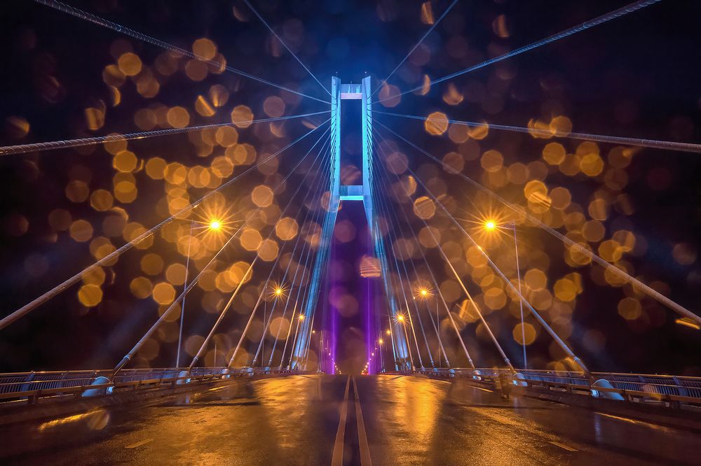 Photograph by NGUYEN HAI