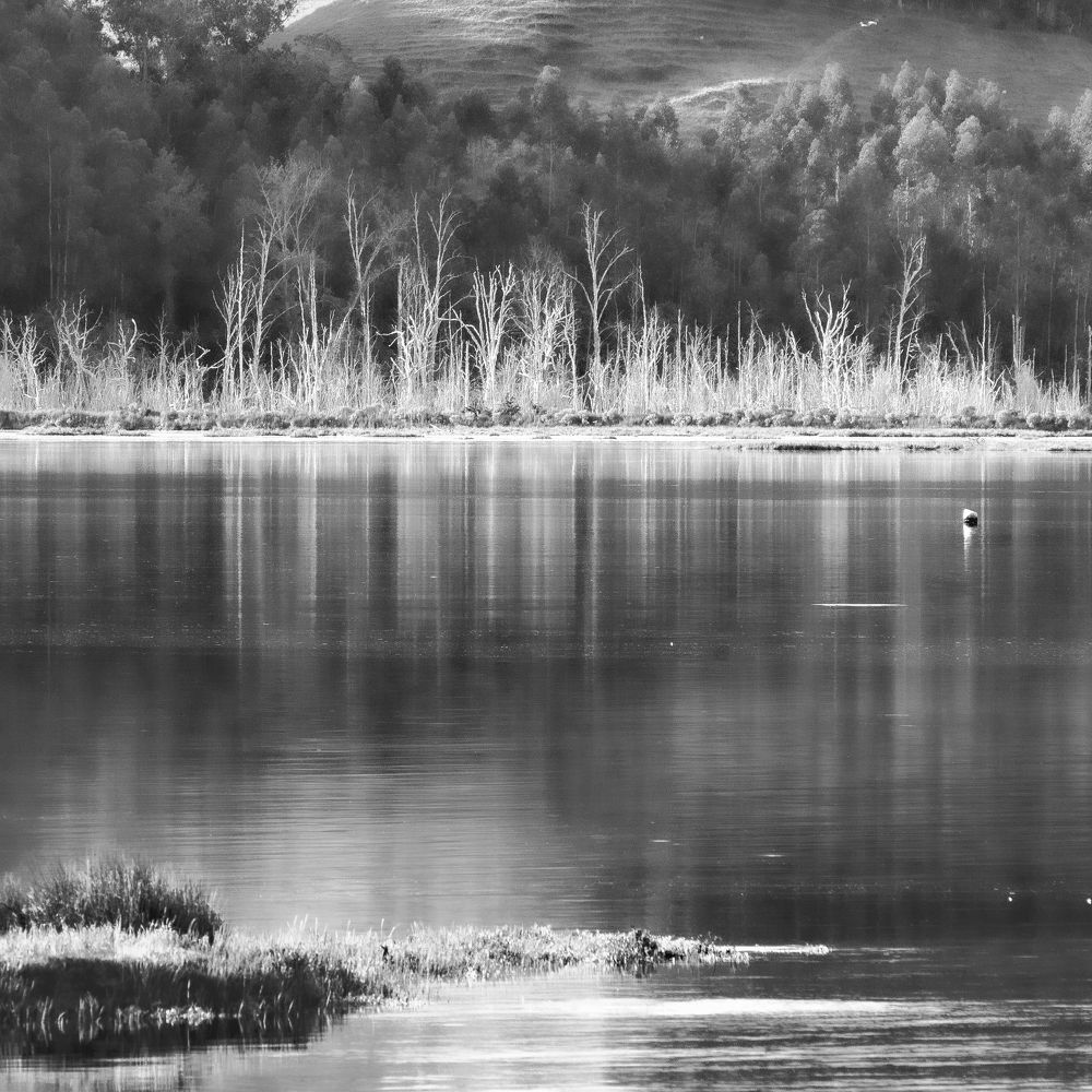 Фотография автора Julio Esteban