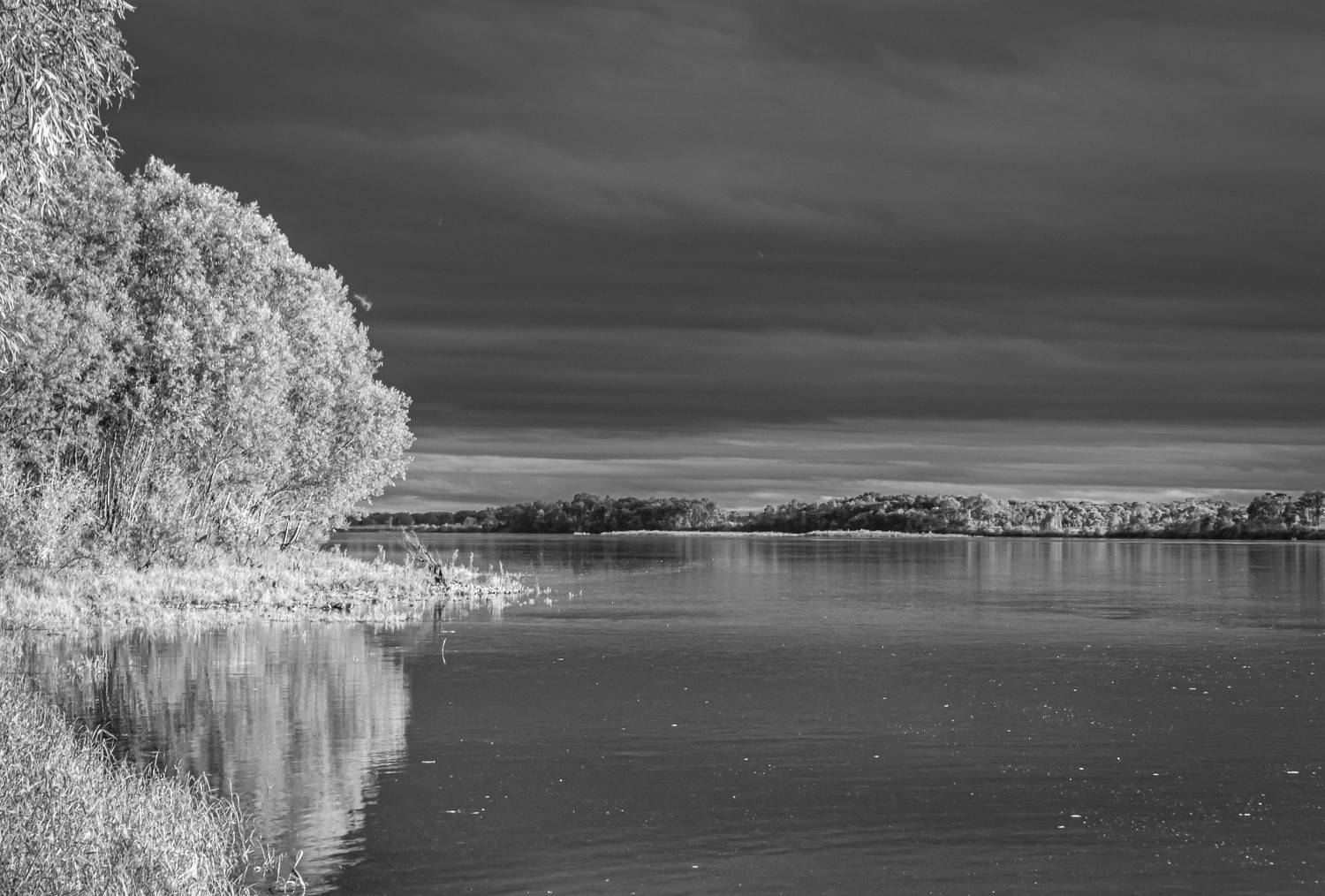 Photo #7782463