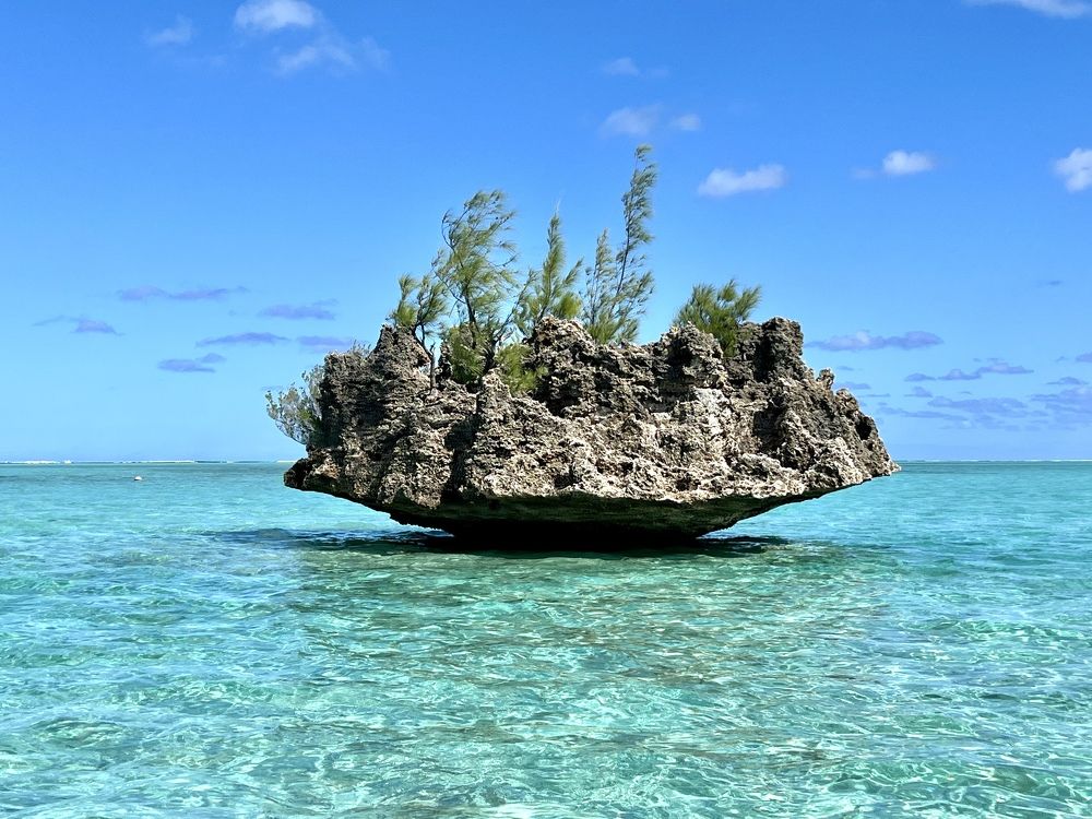 Photograph by Christine ECHEVET-ADAM de VILLIERS